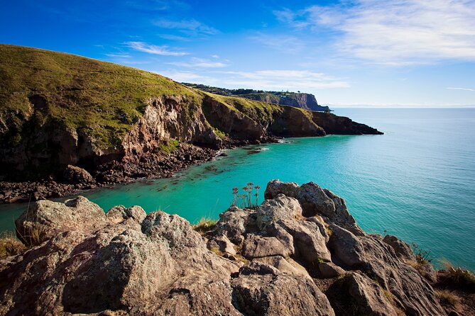 Lyttelton Shore Excursion - Guided Walking Tour and Picnic - How Much Value Do You Get for $186.17?