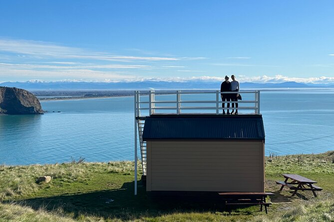 Lyttelton Shore Excursion - Guided Walking Tour and Picnic - Who Should Book This Walk?
