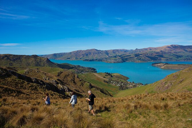 Lyttelton Shore Excursion - Guided Walking Tour and Picnic - Practical Tips for a Better Day