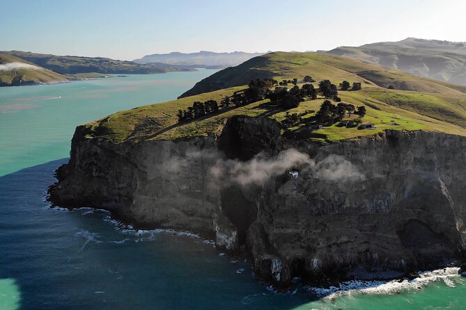 Lyttelton Shore Excursion - Guided Walking Tour and Picnic - Taylors Mistake Sets the Pace
