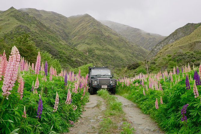 Macetown 4WD Adventure – Full Day Guided Tour from Queenstown - Gold Panning in the Arrow River