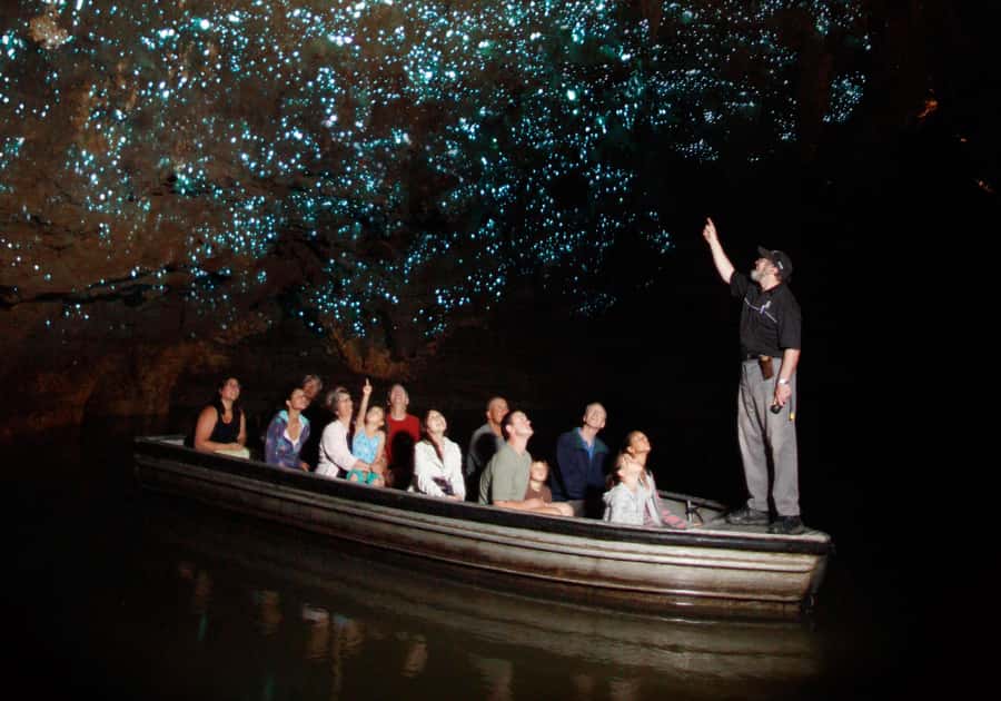 Magical Hobbiton & Waitomo Caves Small Group from Auckland - The road between Waitomo and Hobbiton