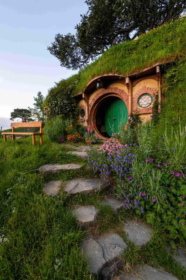 Magical Hobbiton & Waitomo Caves Small Group from Auckland - The return to Auckland and the true cost of the day