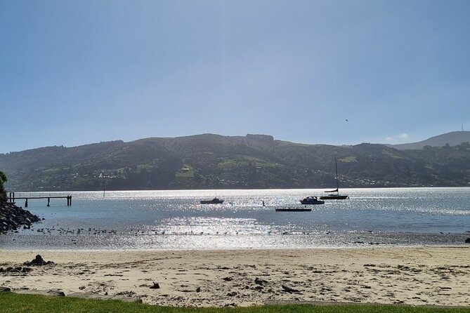 Mainland Peninsula Tour - University of Otago and Dunedin’s city character