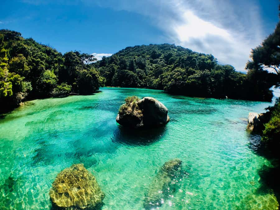 Mārahau: Abel Tasman Marine Reserve Kayak Tour - Key points at a glance