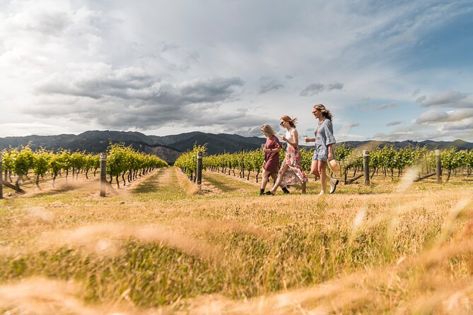 Marlborough Afternoon Wine Tour with Tastings - Why this four-hour tour works