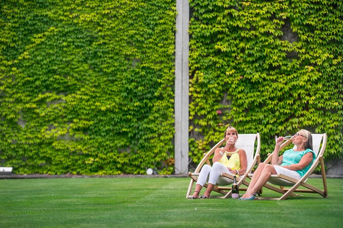 Marlborough Afternoon Wine Tour with Tastings - Who should book this afternoon?