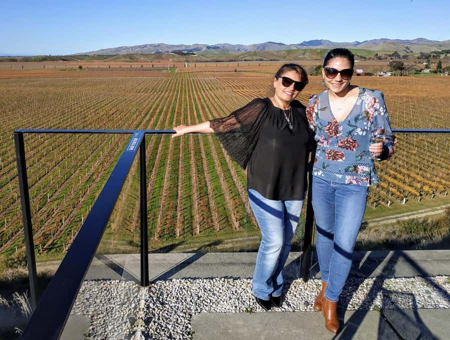 Marlborough: Blenheim Wine Tour; Afternoon of Wine only - Is $116 a fair price?