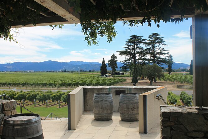 Marlborough Classic Wine Tasting Tour. - What the wine tasting is really worth