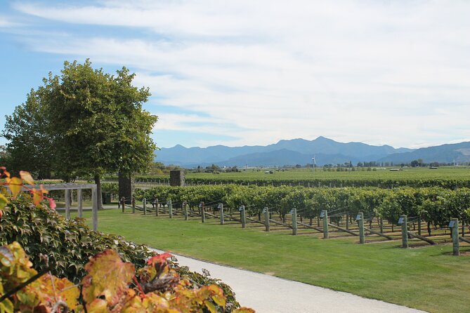 Marlborough Classic Wine Tasting Tour. - A sweet finish at Makana Confections