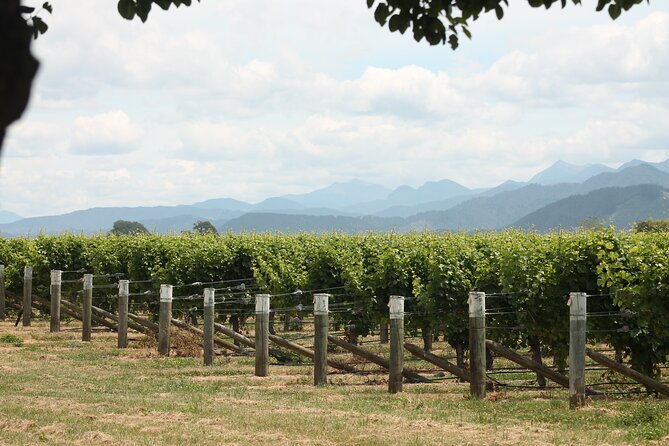 Marlborough Classic Wine Tasting Tour. - Who should book this tour?