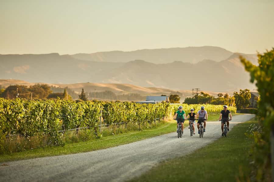 Marlborough: Full-Day Self-Guided Biking Wine Tour - Starting at Vines Village with a map and a plan