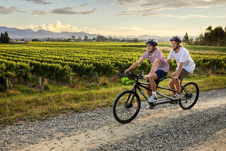 Marlborough: Full-Day Self-Guided Biking Wine Tour - Is the $41 price good value?