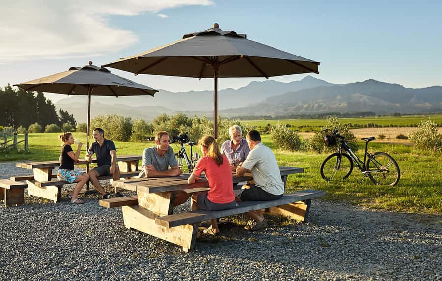 Marlborough: Full-Day Self-Guided Biking Wine Tour - The easy ride between Marlborough vineyards