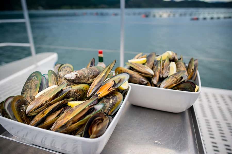 Marlborough: Full-Day Wine and Seafood Tour with Cruise - Two winery tastings, with room for different styles