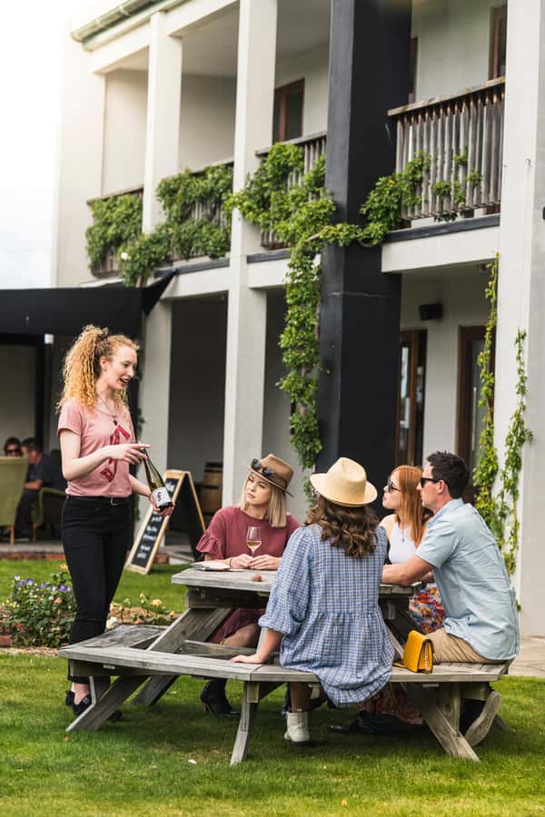 Marlborough: Full-Day Wine and Seafood Tour with Cruise - Who will get the most from this $191 outing
