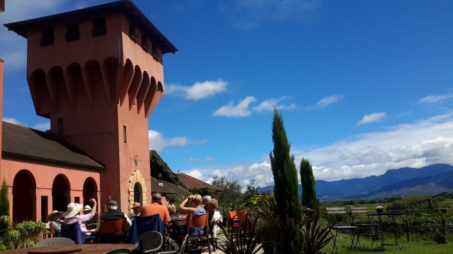 Marlborough Full Day Wine Tour - Booking and practical details