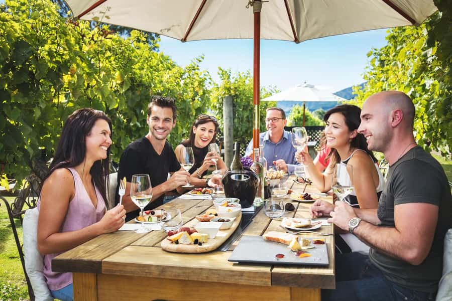 Marlborough: Full Day "Winemaker's Tour" - Five wineries, one easy day