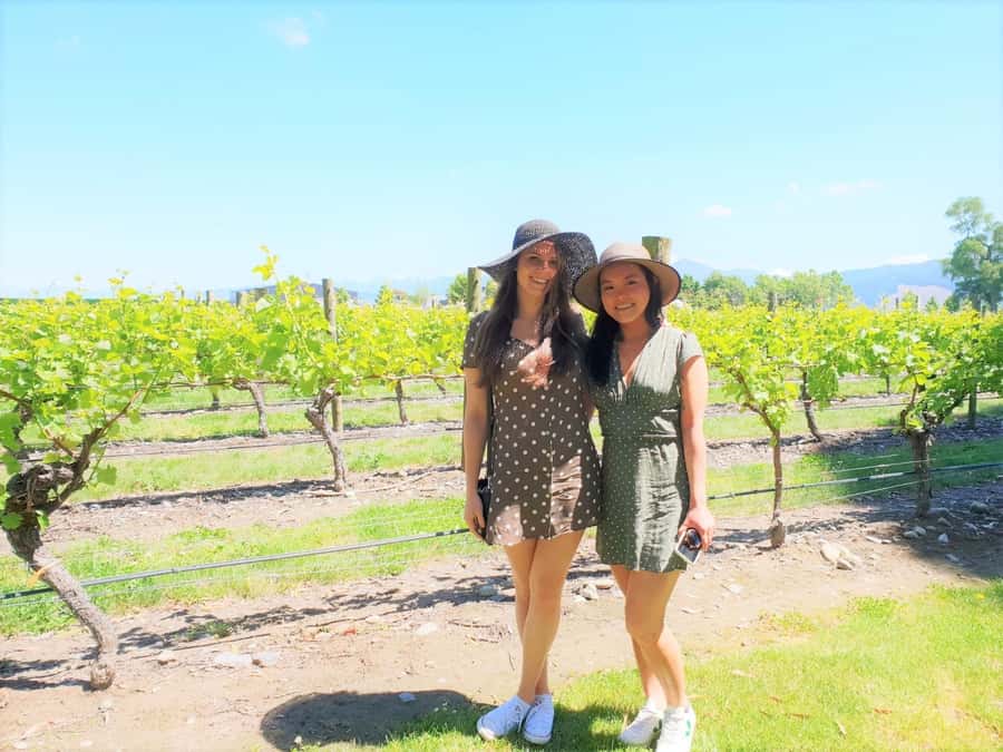 Marlborough: Full Day "Winemaker's Tour" - The first winery sets the tone