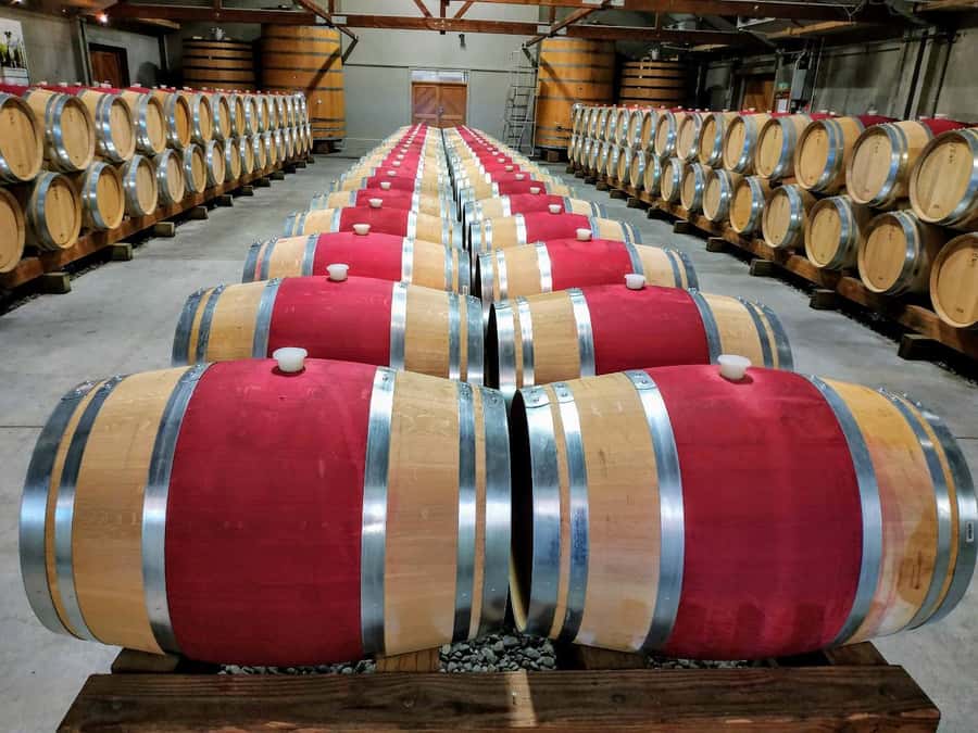 Marlborough: Half Day Blenheim Wine Tour - Eating & Sipping - Two more cellar doors, with time to compare