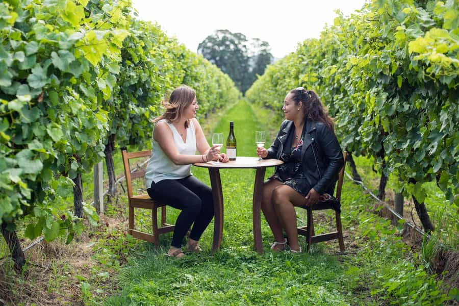 Marlborough Half Day Wine Tour From Blenheim 1.30pm - Three wineries, with room for variety