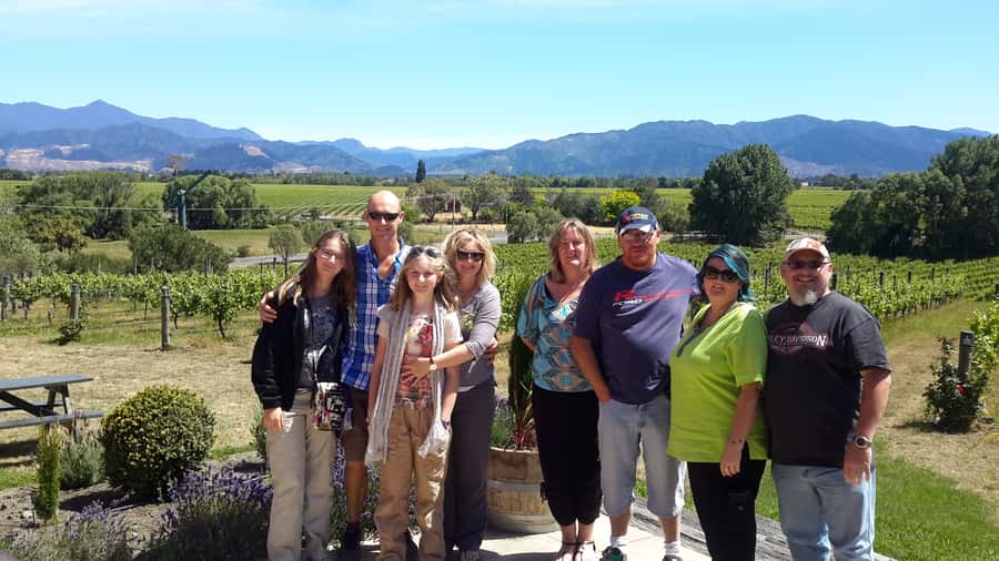 Marlborough Half-Day Wine Tour from Blenheim - Key points at a glance