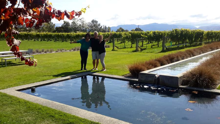Marlborough Half-Day Wine Tour from Blenheim - What happens at the tastings
