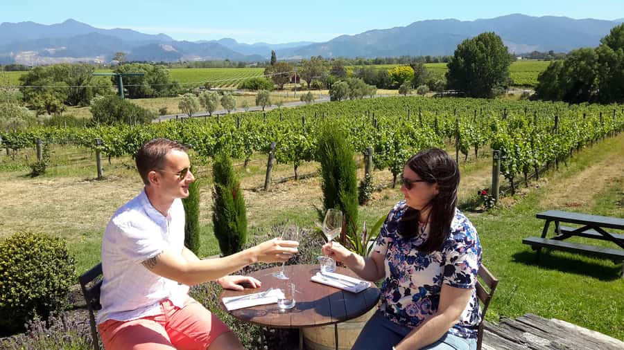 Marlborough Half-Day Wine Tour from Blenheim - Weather, age limits, and practical points