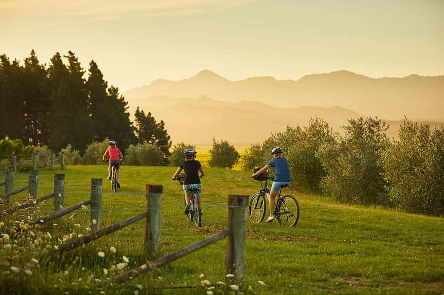 Marlborough: Half Guided and Half Self-Guided Bike Wine Tour - Three wineries and the first taste of Marlborough