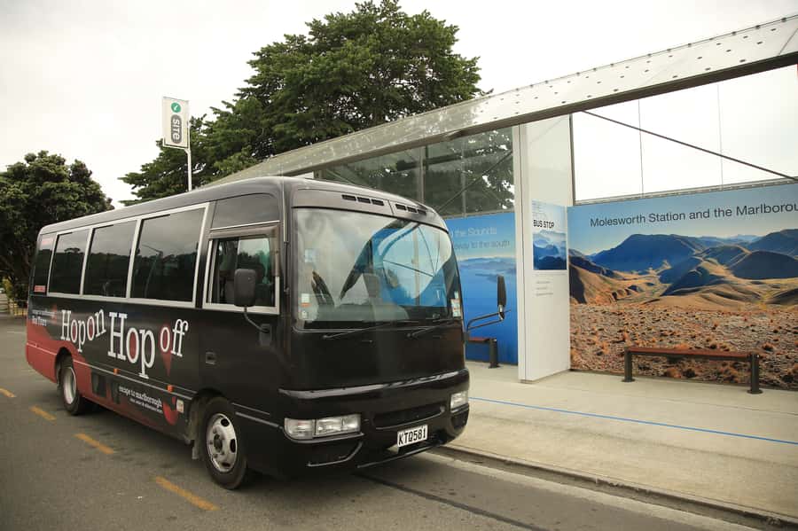 Marlborough: Hop-On Hop-Off Wine, Brewery, and Wonders Tour - Starting in Picton or Blenheim
