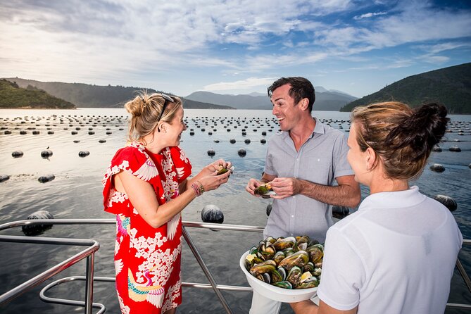 Marlborough Icons Tour - Wine tasting + Cruise - Lunch before the Marlborough Sounds cruise