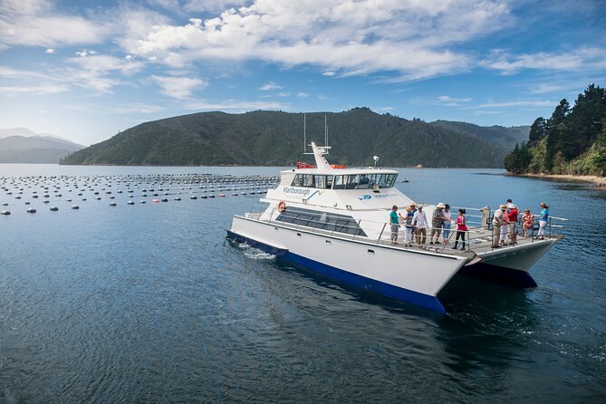 Marlborough Icons Tour - Wine tasting + Cruise - Cruising Queen Charlotte Sound for three hours