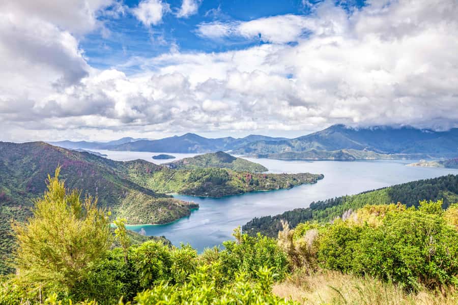Marlborough Sounds and Ship Cove Cruise from Picton - Key points before you book