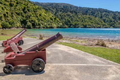 Marlborough Sounds and Ship Cove Cruise from Picton