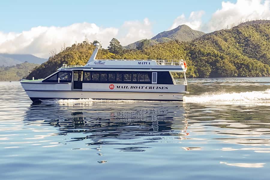 Marlborough Sounds and Ship Cove Cruise from Picton - Is $66 good value for three hours?
