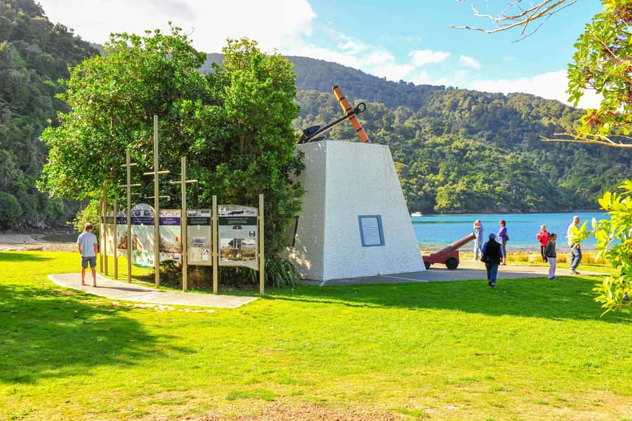 Marlborough Sounds and Ship Cove Cruise from Picton - Who will enjoy this cruise most?