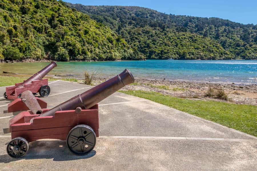 Marlborough Sounds and Ship Cove Cruise from Picton - Cruising through Queen Charlotte Sound