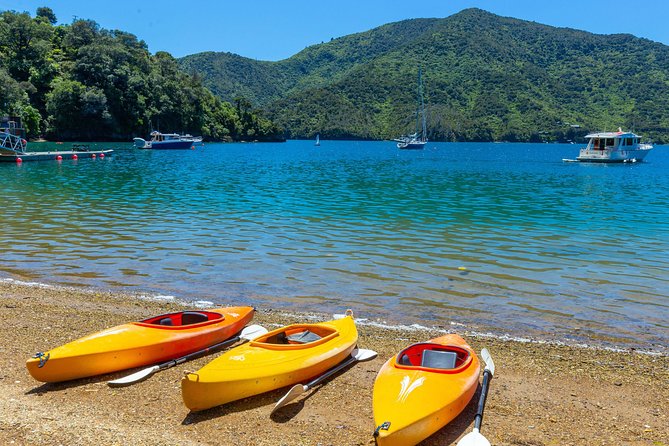 Marlborough Sounds Day Visit to Lochmara - Kayaking, paddle boarding, and time on the water