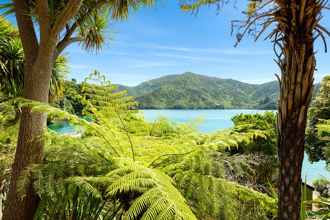 Marlborough Sounds Day Visit to Lochmara - How the price compares with the experience