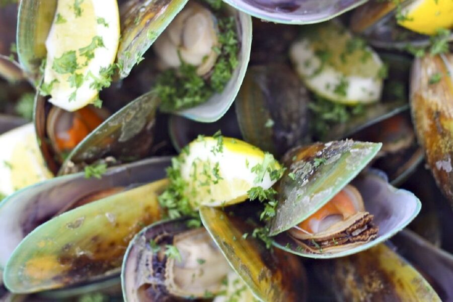 Marlborough Sounds: Greenshell Mussel Cruise - Should You Book the Greenshell Mussel Cruise?