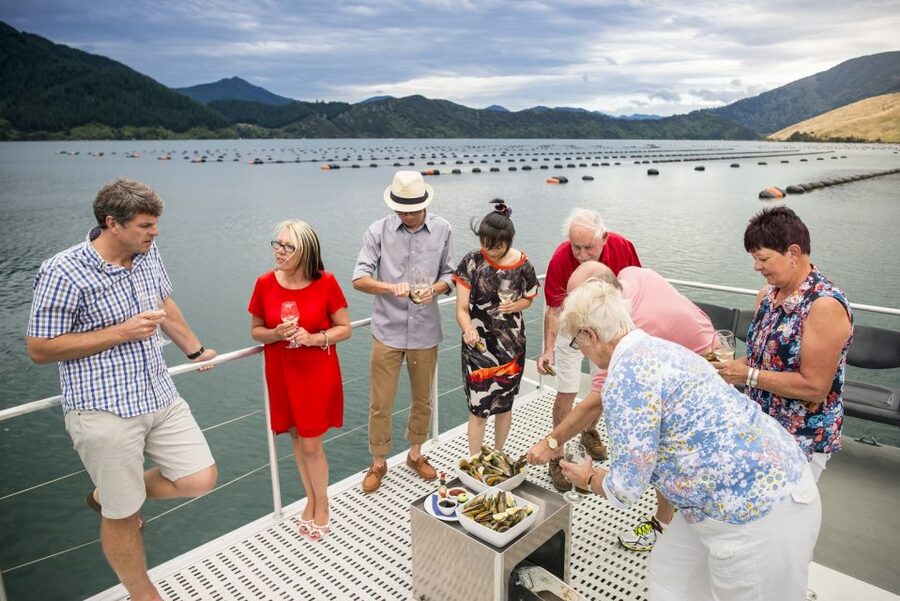 Marlborough Sounds: Greenshell Mussel Cruise - Mussels, Salmon, and the Onboard Bar