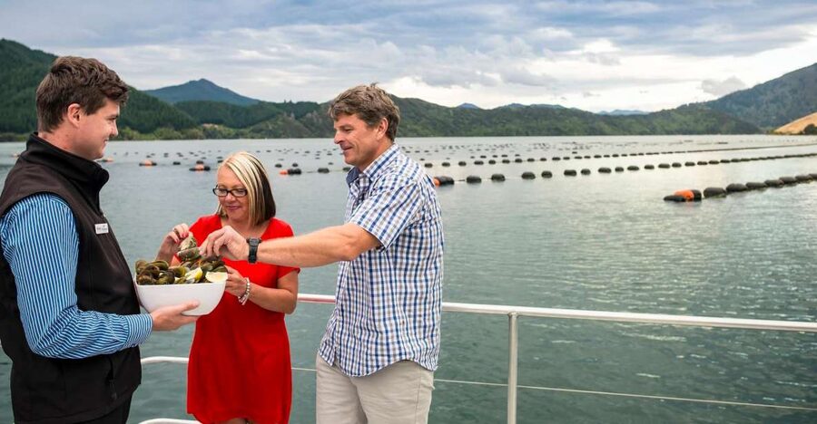 Marlborough Sounds: Greenshell Mussel Cruise - Indoor and Outdoor Views