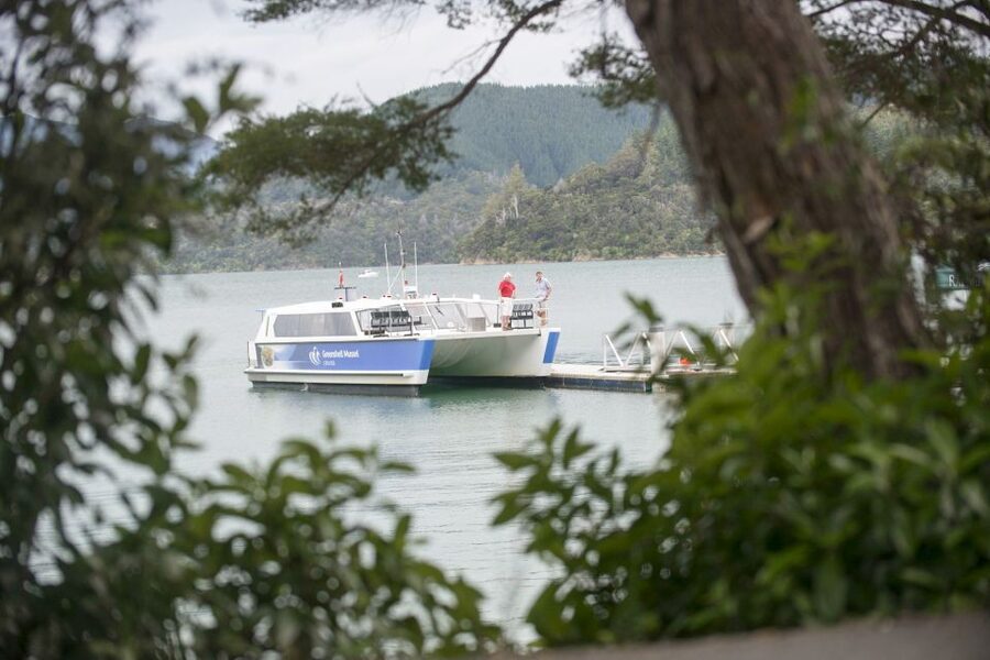 Marlborough Sounds: Greenshell Mussel Cruise - Is $107 Good Value?