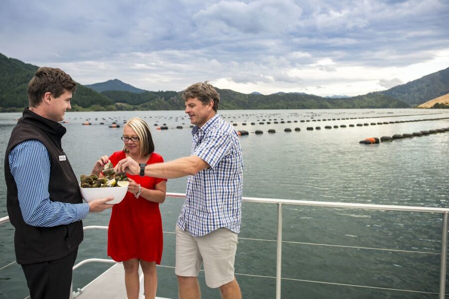 Marlborough Sounds: Greenshell Mussel Cruise - Timing, Cancellation, and Group Size