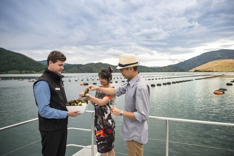 Marlborough Sounds: Greenshell Mussel Cruise - Who Will Enjoy This Cruise Most?