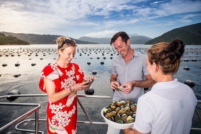 Marlborough Sounds Greenshell Mussel Tasting Cruise - Leaving Picton Marina for Queen Charlotte Sound