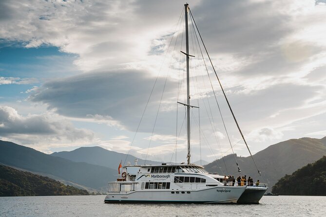 Marlborough Sounds Greenshell Mussel Tasting Cruise - Is $111.70 good value?