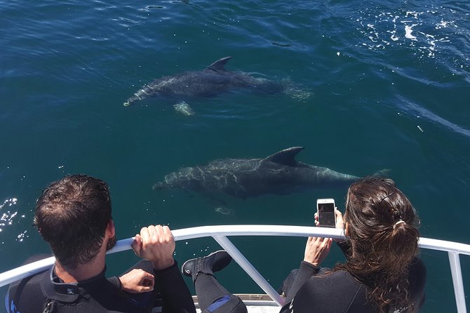 Marlborough Sounds Ultimate Cruise - Key points at a glance