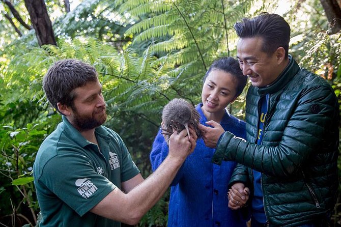 Marlborough Sounds Ultimate Cruise - Guides who make the wildlife easier to understand