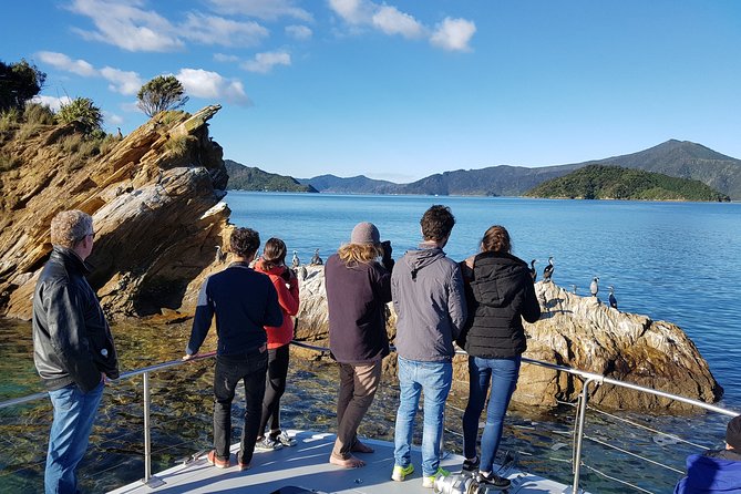 Marlborough Sounds Ultimate Cruise - Who will enjoy this Picton cruise most